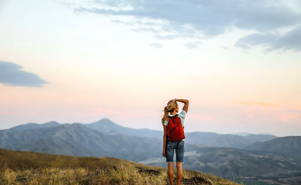 Daylight Backpack